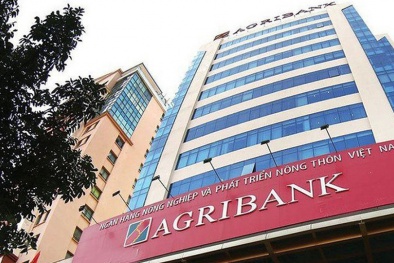 Agribank cổ phần hóa chậm, 5/6 công ty con lỗ: Kiểm toán Nhà nước nói gì?