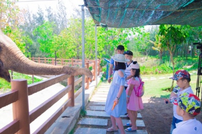 Trọn vẹn cẩm nang 72 giờ 'say nắng' Quy Nhơn 