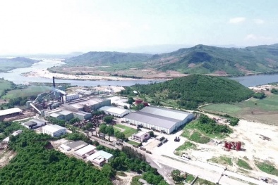 KCP Việt Nam: Hành trình chất lượng giúp cây mía 'nở hoa'