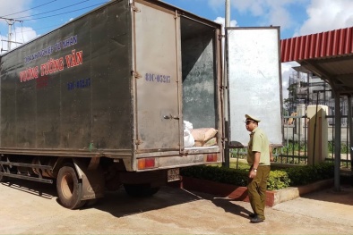 Tóm gọn xe tải chở số lượng lớn bột mì không có hóa đơn, chứng từ