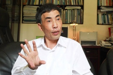 TS. Võ Trí Thành: 'Nhập siêu vẫn nằm trong tầm kiểm soát'