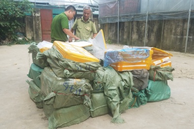 Tạm giữ hơn 1.000 kg nầm lợn không rõ nguồn gốc xuất xứ