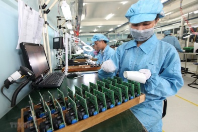 TS.Trần Tiến Cường: Giải quyết những ‘điểm nghẽn’ trong tái cơ cấu DNNN 
