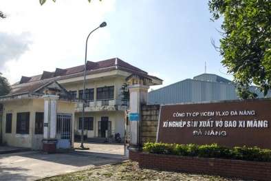 Vicem Đà Nẵng kinh doanh bết bát, lợi nhuận liên tục âm 