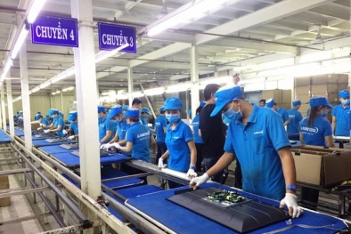 CEO Asanzo: 'Chẳng lẽ chúng tôi nuôi hàng ngàn công nhân chỉ để xóa chữ thôi sao'