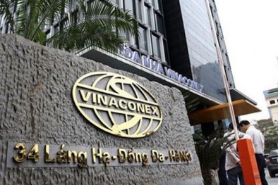 Sếp Vinaconex: Ai phát hiện chuyển 1 xu vào An Quý Hưng thì cứ gọi công an