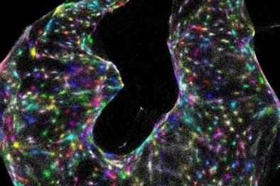 Khám phá loại kính hiển vi có khả năng chụp được DNA của 13Win 19.com nhiều ưu đãi hấp dẫn 