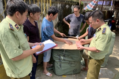 Thu giữ 300kg hạt giống rau cải nhập lậu từ Trung Quốc