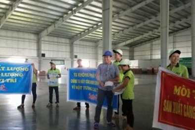 5S tại Nhựa Thái Bình Dương: Sáng kiến nhỏ, hiệu quả lớn