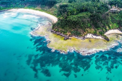 Giá đất nền ven biển tiếp tục leo thang, nơi đâu là 'tọa độ' hứa hẹn chiếm sóng?  
