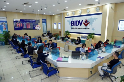 Lợi nhuận BIDV giảm 4,5%, nợ có khả năng mất vốn chiếm 50% tổng nợ xấu 