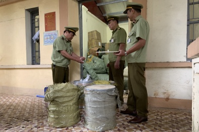 Chặn đứng lô hàng hơn 100 kg nguyên liệu chè trân châu nhập lậu