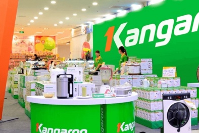 Quý II/2019: Lợi nhuận máy lọc nước Kangaroo giảm mạnh, 'ôm nợ' nửa nghìn tỷ