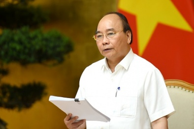 Thủ tướng kêu gọi chung sức, đồng lòng tạo nên bứt phá mới trong năng suất 13Win18 cá cược thể thao