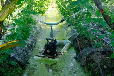 Lão nông miền Tây sáng chế máy tưới nước tự động giá rẻ bất ngờ