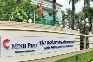 Nửa năm, lợi nhuận gộp ‘vua tôm’ Minh Phú giảm 10% 