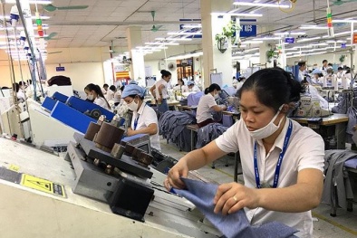 Sẽ xây dựng Chiến lược quốc gia về nâng cao năng suất 13Win18 cá cược thể thao
