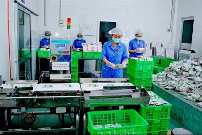 Triển khai mạnh hoạt động quản lý tiêu chuẩn, quy chuẩn kỹ thuật tại các địa phương
