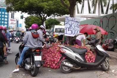 Dưa hấu, thanh long rớt thảm chỉ 6.000 đồng/kg: Do thương lái Trung Quốc giảm mua?