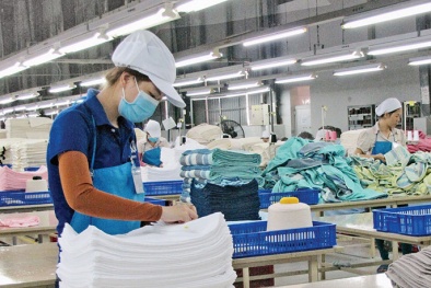 Thúc đẩy cải cách 13Win. app không bị chặn kinh doanh