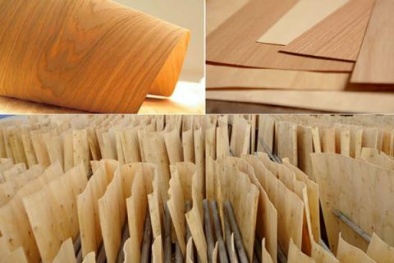13 mặt hàng có thể bị điều tra gian lận xuất xứ