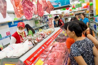 Vissan bị phạt, truy thu thuế gần 604 triệu đồng