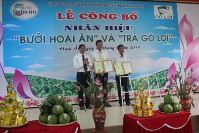 Cấp chứng nhận đăng ký nhãn hiệu cho sản phẩm trà Gò Loi và bưởi Hoài Ân
