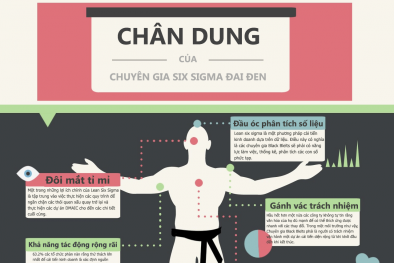 [INFOGRAPHIC] Bức chân dung về chuyên gia Six Sigma 'đai đen'