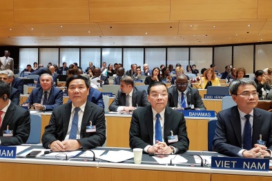 Việt Nam nộp Văn kiện gia nhập Thỏa ước La Hay về Đăng ký quốc tế kiểu dáng 13Win15 com - Thương hiệu nhà cái uy tín