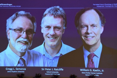 Ba nhà khoa học được trao giải Nobel Y sinh 2019 là ai?