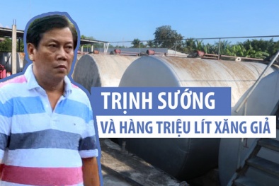 Đang bị giam giữ nhưng đại gia xăng dầu Trịnh Sướng vẫn được hưởng hàng tỷ đồng tiền mặt