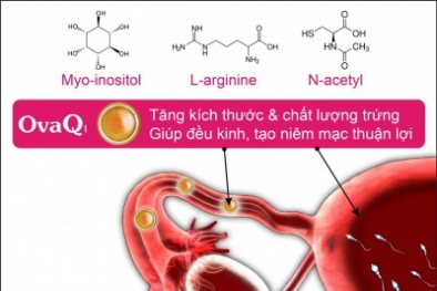 Thực phẩm bảo vệ sức khoẻ SpermQ–OvaQ1: Quảng cáo lừa dối người tiêu dùng?