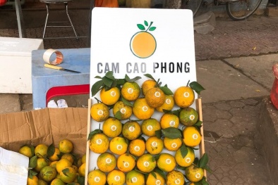 Cam Cao Phong đầu mùa giá 30.000 đồng/kg