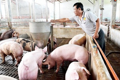 Chỉ số giá tiêu dùng (CPI) bình quân 9 tháng tăng khoảng 2,52%