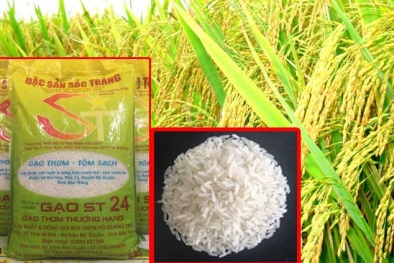 Loại gạo Việt Nam vừa đạt danh hiệu ngon nhất thế giới có giá bao nhiêu tiền/kg?