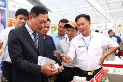 Impact Techfest - Trung du Miền núi 2019: Ngày hội kết nối hệ sinh thái khởi nghiệp ĐMST