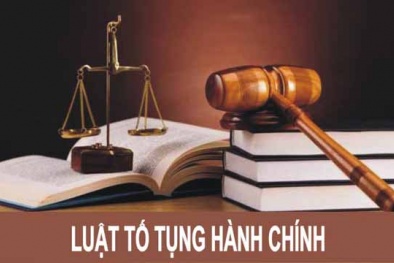 Thủ tướng chỉ thị tăng cường chấp hành pháp luật tố tụng Đăng ký 13Win ngay nhé