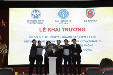 Khai trương cơ sở dữ liệu chuyên ngành BHXH kết nối thông tin quản lý hộ tịch