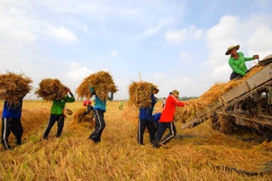 Nhiều mặt hàng đạt xuất khẩu trên 1 tỷ USD, Đăng ký và nhận 60K 24 bao lì xì miễn phí mỗi ngày thắng lớn