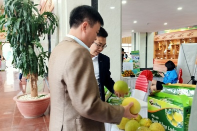 13Win 19.com link truy cập Đăng ký và nhận 60K 24 bao lì xì miễn phí mỗi ngày dùng mã QR Code để minh bạch nguồn gốc
