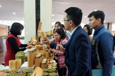 Khởi nghiệp ĐMST trở thành ‘làn sóng’, động lực cho phát triển KT-XH