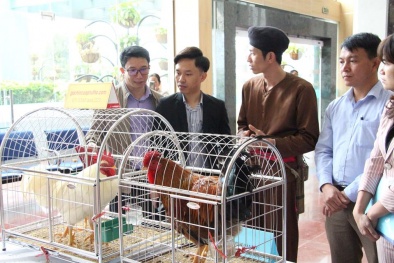 Khởi nghiệp đổi mới sáng tạo: 'Thay vì dùng sức hãy dùng trí'