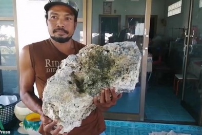 Đi nhặt rác trên bãi biển, người đàn ông bất ngờ vớ được 'báu vật' Long Diên Hương 15 tỷ đồng