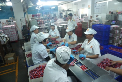 Kinh nghiệm áp dụng thành công công cụ quản lý chất lượng tại công ty VISSAN 