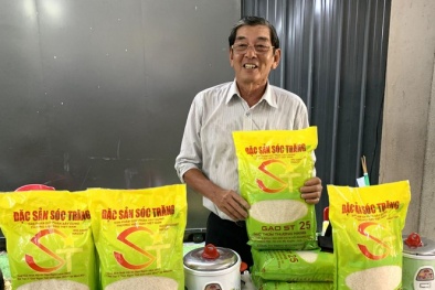 Đặc cách công nhận giống lúa ST25 cho ra gạo ngon nhất thế giới