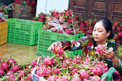 Bộ Công Thương khuyến cáo Link Đăng Nhập Nhà cái 13Win16.Com xuất khẩu sang Trung Quốc dịp Tết