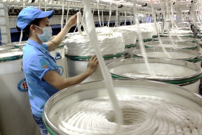 Dính nghi án bán phá giá, xơ sợ nhân tạo của Việt Nam bị Ấn Độ điều tra