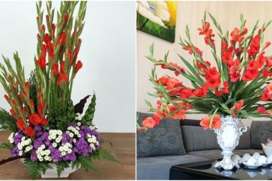 Những cách cắm hoa lay ơn đẹp ngày tết mà bạn nên biết