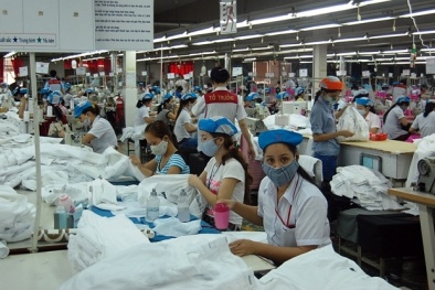 Nâng cao năng suất chất lượng nhờ cải tiến máy móc hiện đại