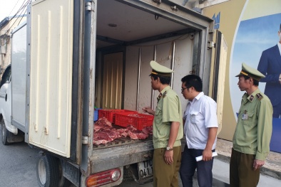 Tăng cường công tác phòng, chống dịch bệnh viêm phổi cấp và dịch tả lợn châu Phi
